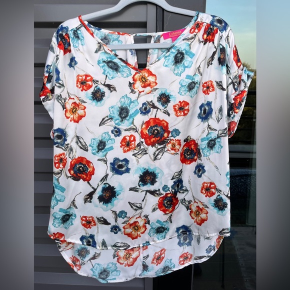 Smooth Operator!  CATHERINE MALANDRINO (EUC, Size L) V-Neck, SS Silky Print Top - Picture 2 of 7